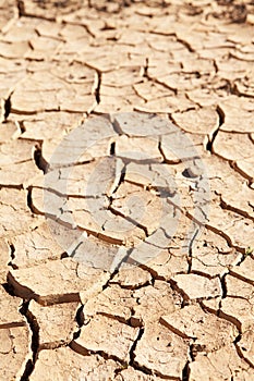 Dry cracked mud in dried up waterhole