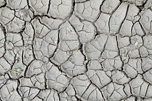 Dry cracked mud. A dry summer with no precipitation. Background image