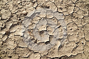 Dry and cracked mud in a river bed