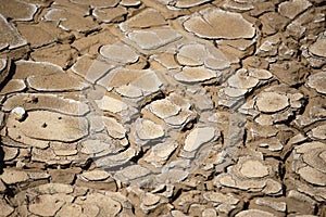 Dry Cracked Mud in Silt Trap