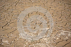 Dry Cracked Mud in Silt Trap
