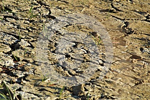 Dry and cracked mud texture background, landscape orientation.
