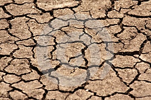 Dry cracked riverbed