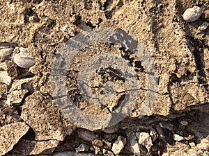 Dry cracked and rough cement with stones