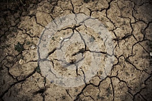 Dry and cracked soil