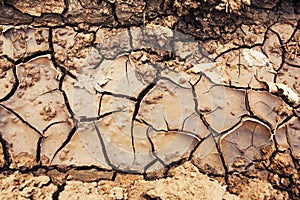 Dry cracked soil