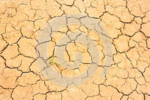 Dry cracked soil