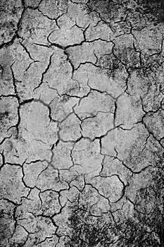 Dry, cracked soil background