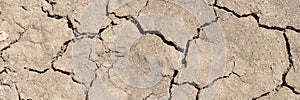 Dry cracked soil. Cracked and torn brown earth