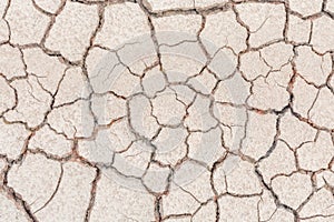 Dry cracked soil detail surface background