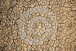 Dry cracked soil during drought