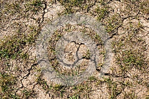 Dry cracked soil during drought.
