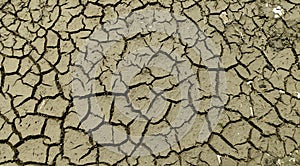 Dry cracked soil during drought on gray soil.