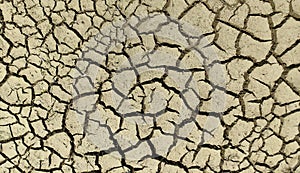 Dry cracked soil during drought on gray soil.