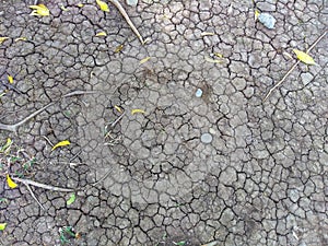 Dry and cracked soil due to drought and a long dry season