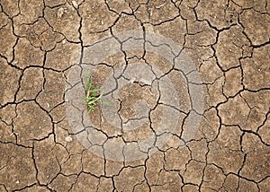 Dry cracked soil