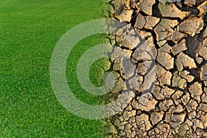 Dry cracked soil and green grass in environment global warming concept