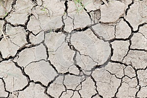 Dry and cracked soil ground