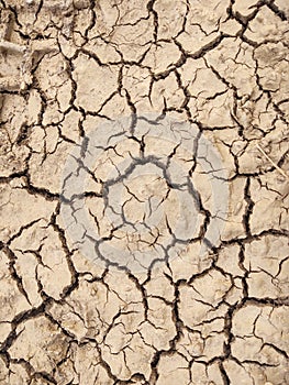 Dry cracked soil ground on the meadow during hot summer day.