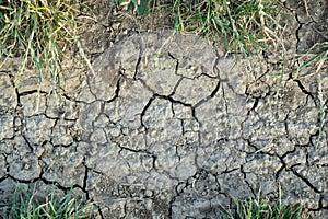 Dry cracked soil ground on the meadow during hot summer day.