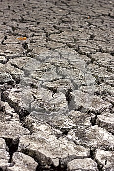 Dry cracked soil, dry lake shore