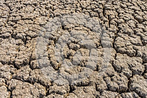 Dry cracked soil of levee of salt evaporation pond