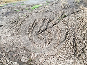 Dry cracked soil