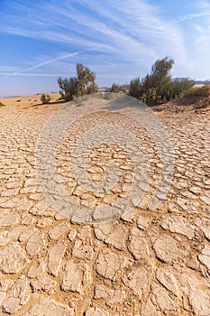 Dry cracked soil. Wadi Araba desert. Jordan