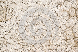 Dry cracked soil, yellow, gray background