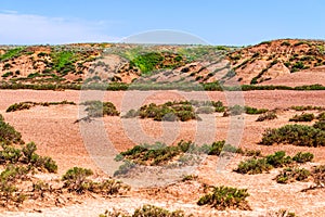 Dry cracked takir soil in semi-desert in Russia. Nature landscape