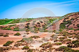 Dry cracked takir soil in semi-desert in Russia. Nature landscape