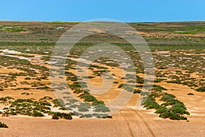 Dry cracked takir soil in semi-desert in Russia. Nature landscape