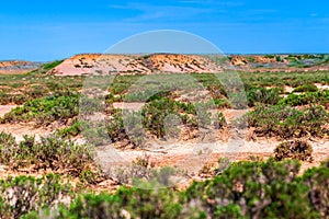 Dry cracked takir soil in semi-desert in Russia. Nature landscape