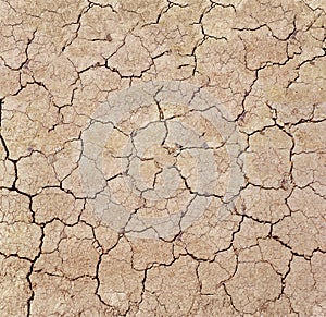 Dry cracks in dried out soil