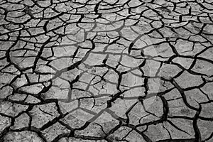 Dry cracks in the land, severe water scarcity.