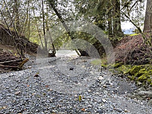 Dry creek bed stone pathway to main river surrounded by woods photo