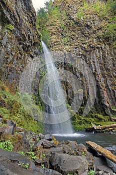 Dry Creek Falls in Columbia River Gorge Vertical