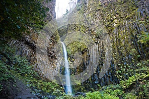 Dry creek falls surounded by basaltic organs