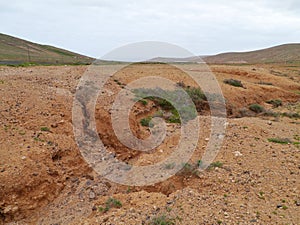 Dry creeks and river beds near La Oliva