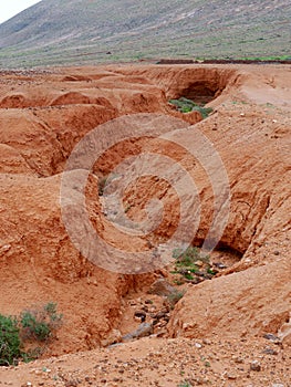 Dry creeks and river beds near La Oliva on Fuerteventura