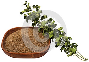 Dry and crushed moringa leaves