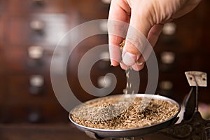 Dry Cumin Seed or Caraway seeds