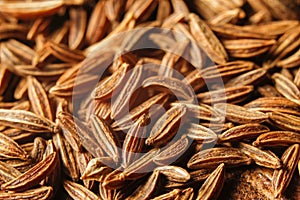 Dry cumin seeds or caraway