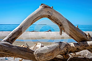 dry curved snag, on the sandy river bank