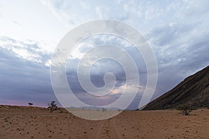 Dry dead grass and sand in Namib Desert