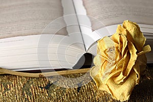 DRY DEAD ROSE WITH AN OPEN BOOK