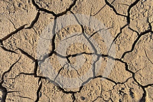 Dry dehydrated earth covered with cracks Close-up