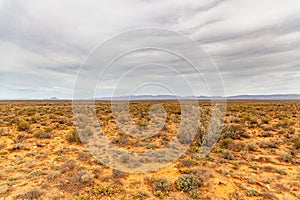 Dry desert land of the Karoo, South Africa.