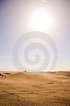 Dry Desert Landscape in Maspalomas Gran Canaria Canary Islands