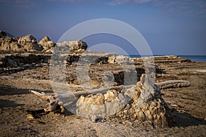 Dry desert next to the Death Sea